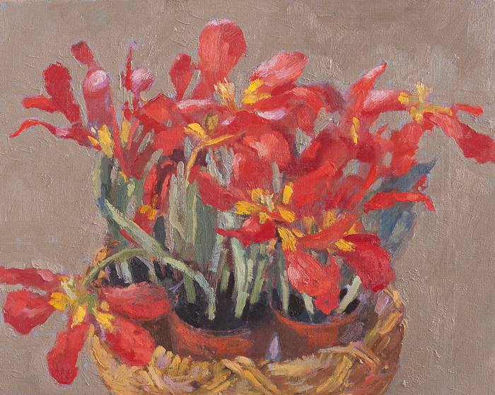 Potted Red Flowers in Basket 40x50cm